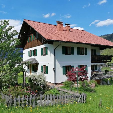 Ferienwohnungen Asterbach Gosau Exterior foto