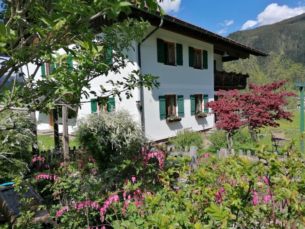 Ferienwohnungen Asterbach Gosau Exterior foto